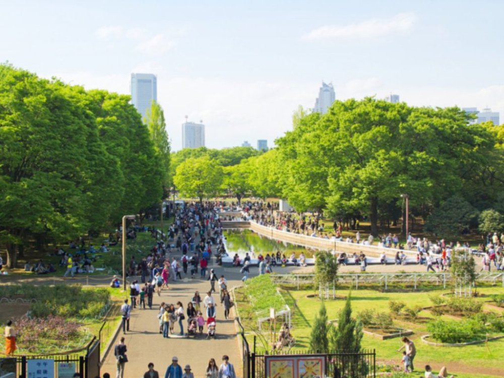 🌳 벨몬트 공원 (베루몬토 코엔) 이미지 4